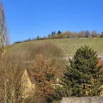Angela * Wurzburgo